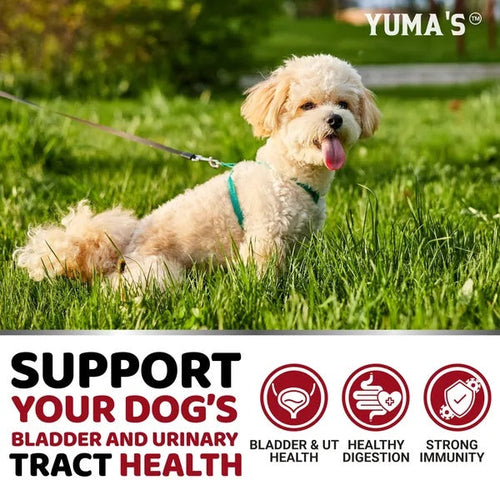 Dog UTI Treatment 170 Treats Cranberry Supplement For Dogs Bladder