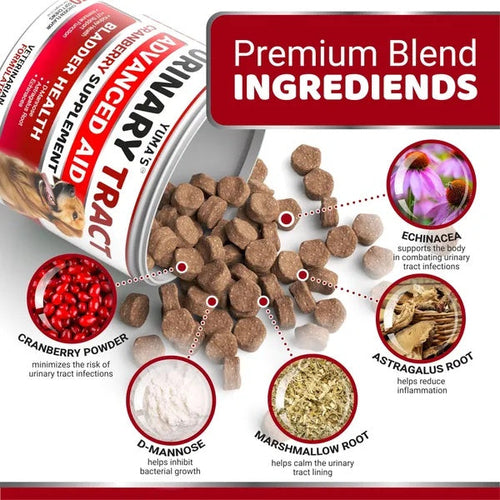 Dog UTI Treatment 170 Treats Cranberry Supplement For Dogs Bladder
