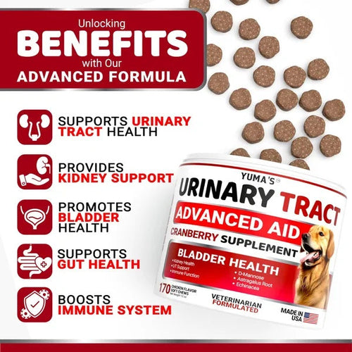 Dog UTI Treatment 170 Treats Cranberry Supplement For Dogs Bladder